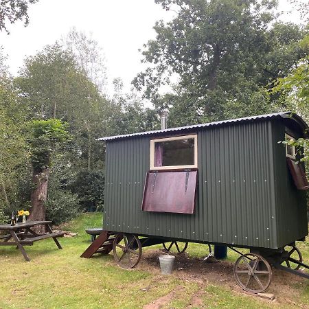 The Shepherd'S Hut - Wild Escapes Wrenbury Off Grid Glamping - Ages 12 And Over Baddiley Extérieur photo