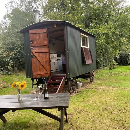 The Shepherd'S Hut - Wild Escapes Wrenbury Off Grid Glamping - Ages 12 And Over Baddiley Extérieur photo
