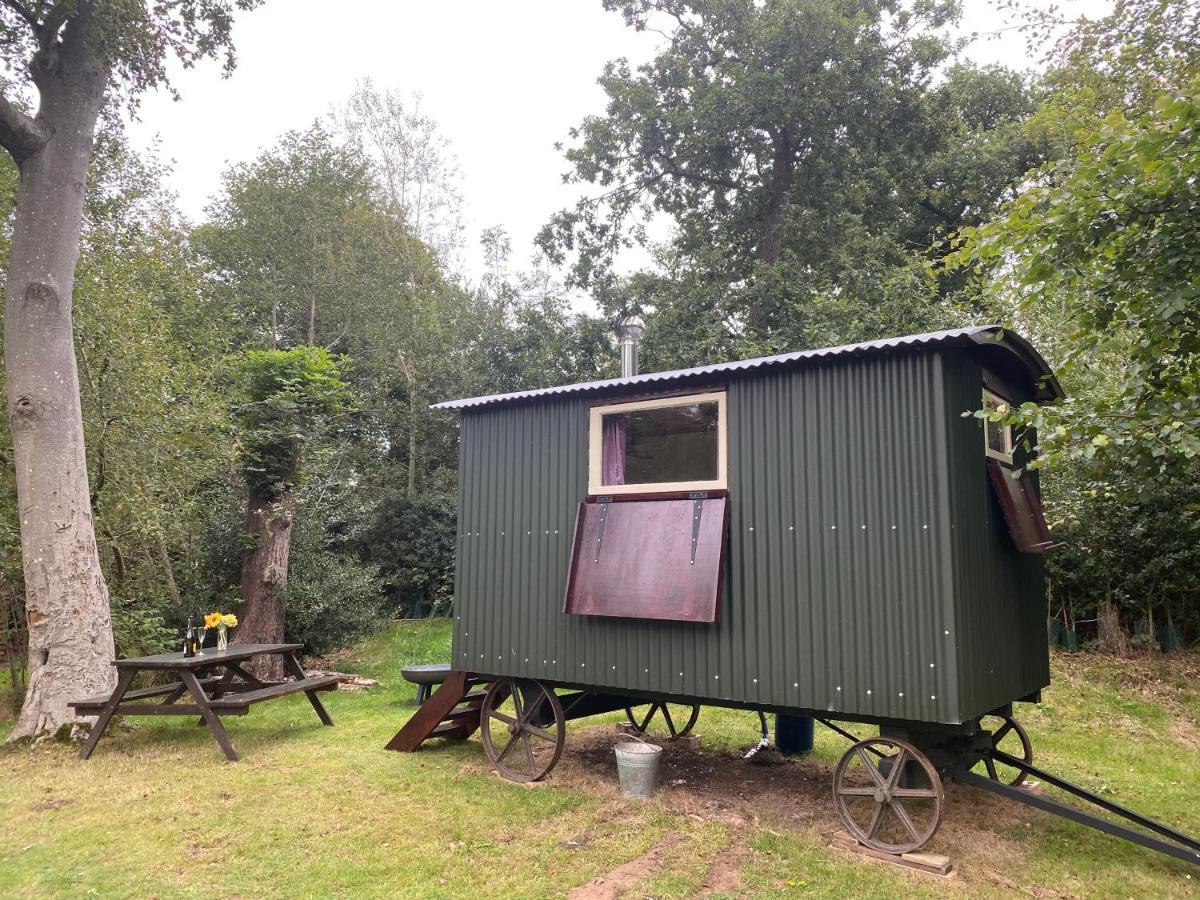 The Shepherd'S Hut - Wild Escapes Wrenbury Off Grid Glamping - Ages 12 And Over Baddiley Extérieur photo