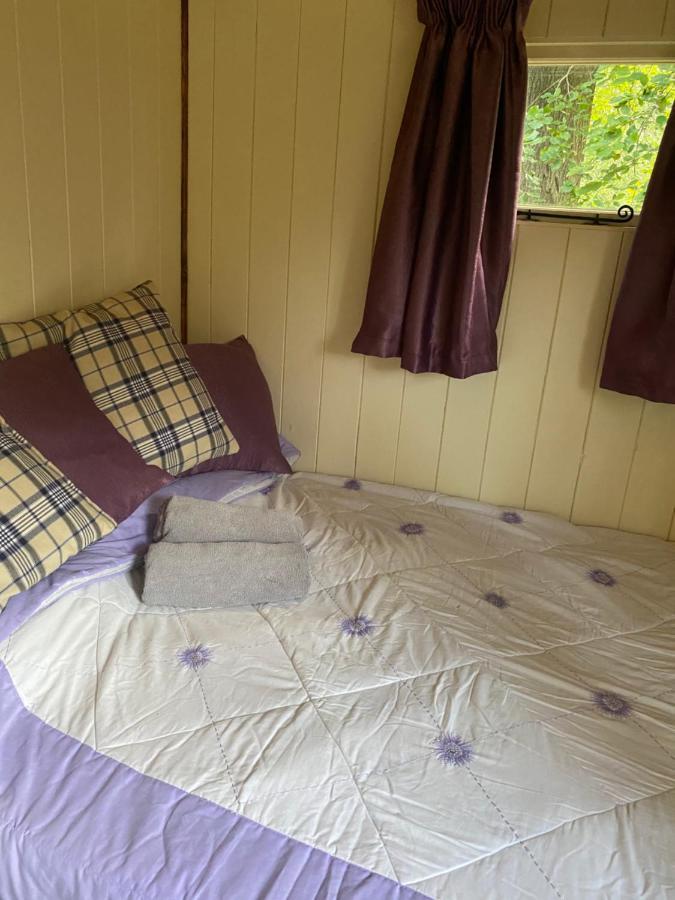 The Shepherd'S Hut - Wild Escapes Wrenbury Off Grid Glamping - Ages 12 And Over Baddiley Extérieur photo