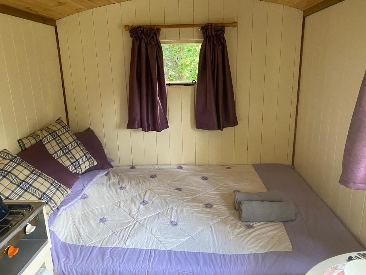 The Shepherd'S Hut - Wild Escapes Wrenbury Off Grid Glamping - Ages 12 And Over Baddiley Extérieur photo