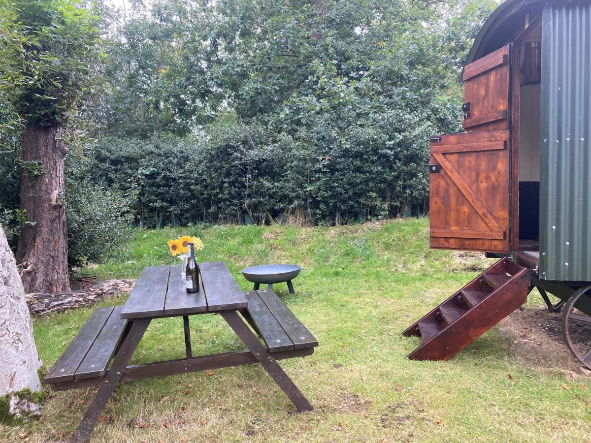 The Shepherd'S Hut - Wild Escapes Wrenbury Off Grid Glamping - Ages 12 And Over Baddiley Extérieur photo